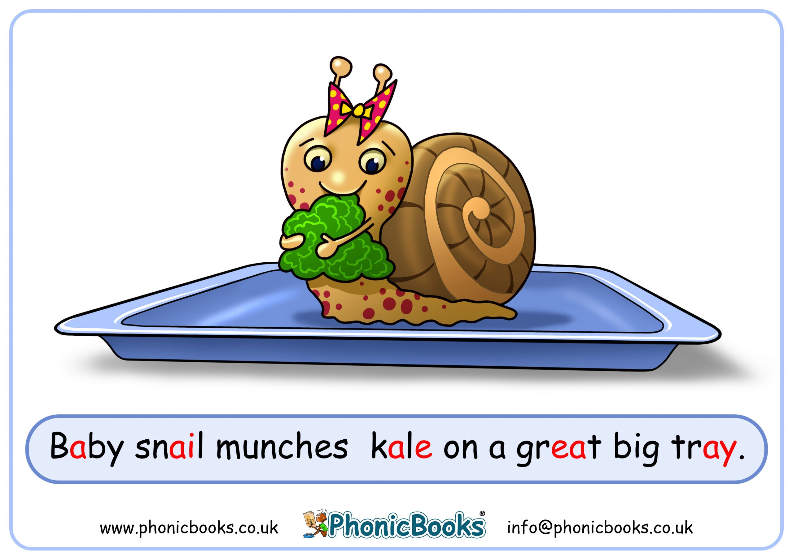One Sound Different Spellings Phonic Books