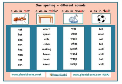 One Spelling Alternative Sounds Infographics Phonic Books