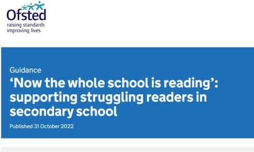 Struggling readers in secondary school